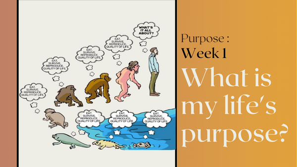21.12.2022 Purpose Week 1: What is my life’s purpose?