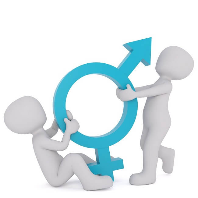 Modul 9: Biologische Unterschiede und erlernte Geschlechterrollen